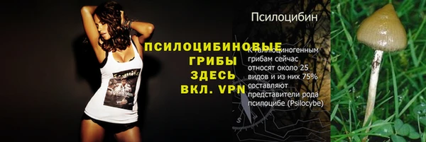 стафф Балахна