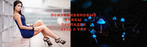 PSILOCYBIN Балабаново