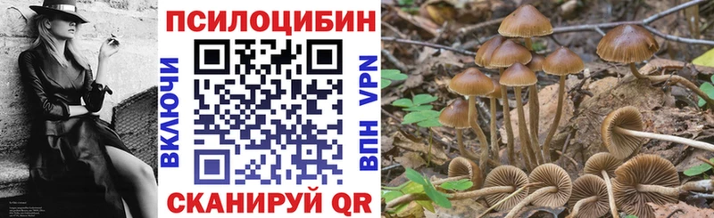 наркошоп  Северо-Курильск  Псилоцибиновые грибы Psilocybine cubensis 